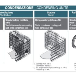 Schermata 2021 02 19 alle 11.38.59 1