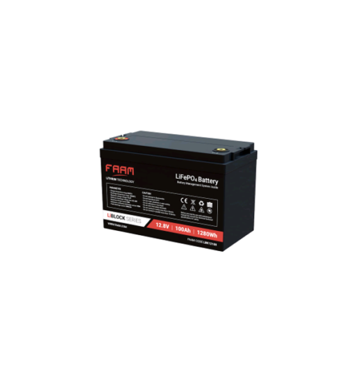 Batteria 100Ah 12V Litio Ferro Fosfato (LiFe-Po4) Faam 2000 con scarica DOD 80% top