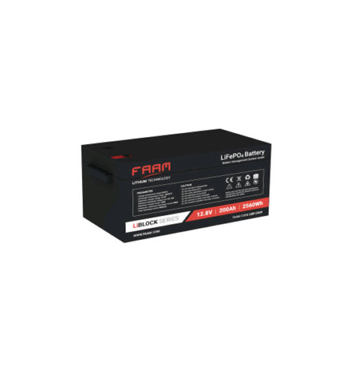 Batteria X accumulo solare 200Ah 12V Litio Ferro Fosfato (LiFe-Po4) Faam 2000 con scarica DOD 80% BMS